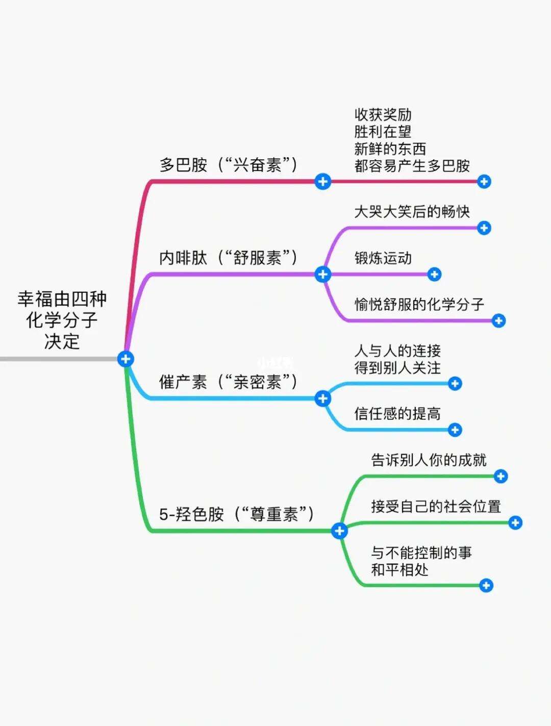内啡肽是啥(内啡肽是啥意思)
